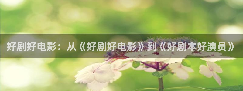 大地影视琪琪免费：好剧好电影：从《好剧好电影》到《好剧本好演员》