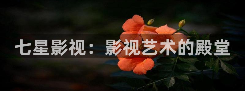 青苹果乐园手机高清免费大地资源：七星影视：影视艺术的殿堂