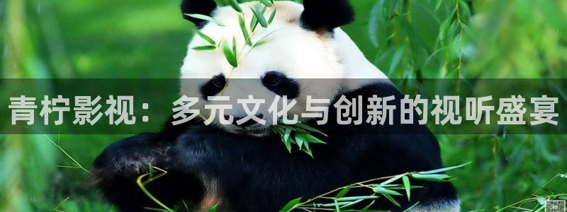 大地数字电影院：青柠影视：多元文化与创新的视听盛宴