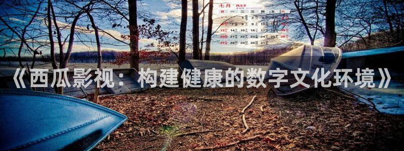 大地资源网最新电影：《西瓜影视：构建健康的数字文化环境》