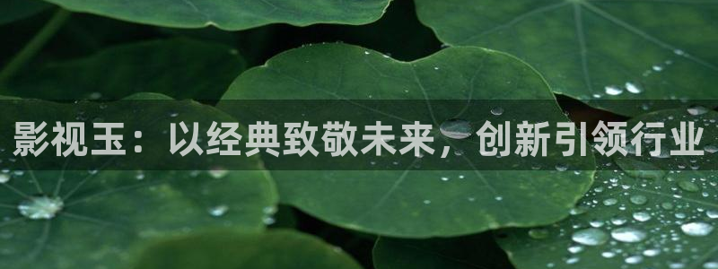 大地资源电影网第三页免费观看：影视玉：以经典致敬未来，创新引领行业