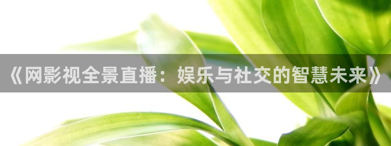 大地影院明日排片表：《网影视全景直播：娱乐与社交的智慧未来》